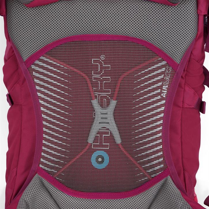 HUSKY Cingy 30 Lt Sırt Çantası (Macenta)